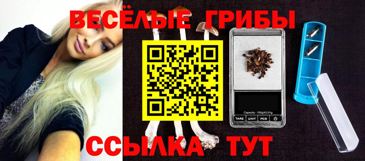 Галлюциногенные грибы Psilocybe Урюпинск